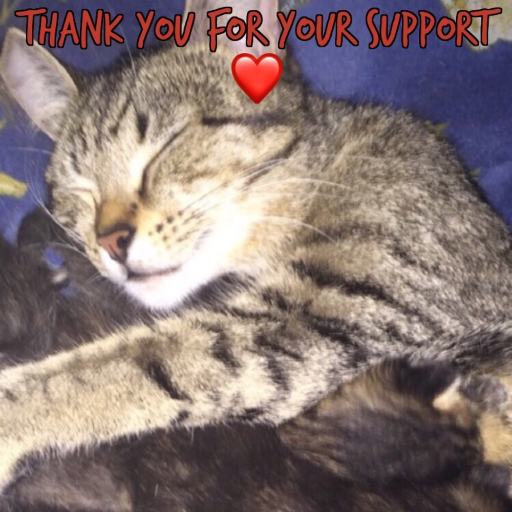 Thank you buyers!!!! Update #3 :)